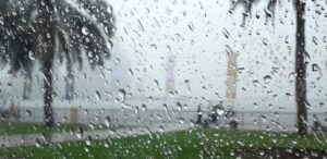 Lire la suite à propos de l’article Hivernage 2024 : Sedhiou a enregistré 60 mm de pluie